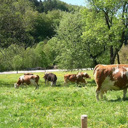 Gemuetliche Wohung Im Gruenen * Michelbach